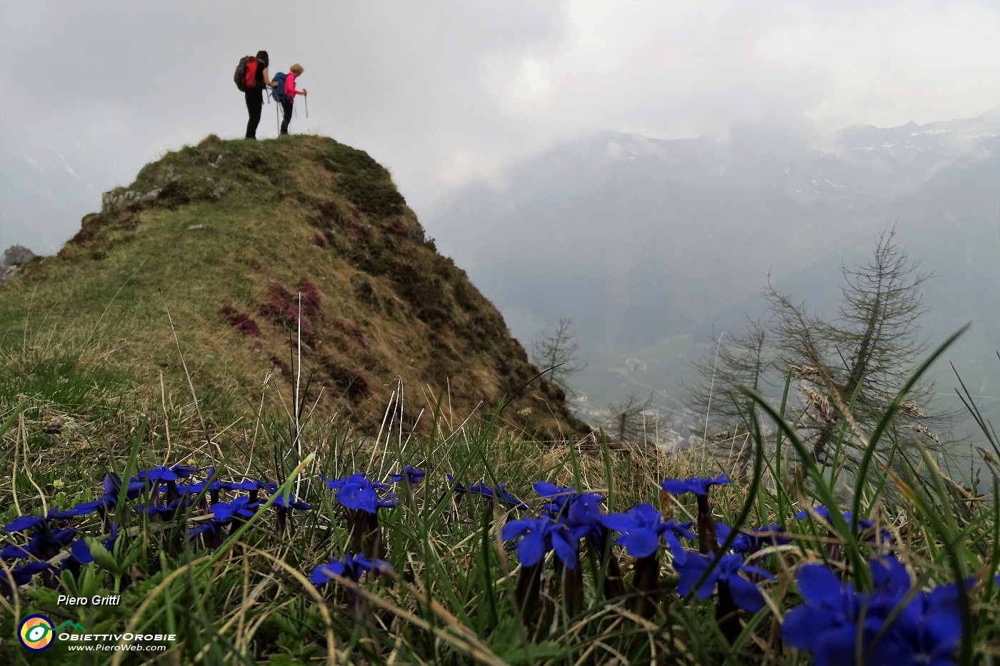 25 Cocuzzolo con vista sulla vallata di Foppolo.JPG